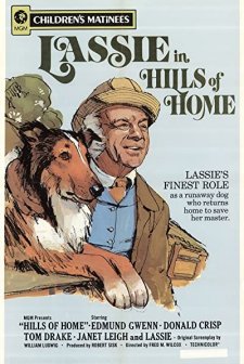 Hills Of Home (1948) afişi