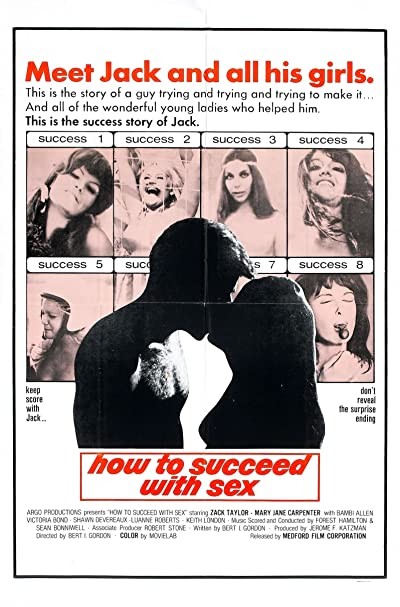 How To Succeed With Sex (1970) afişi How To Succeed With Sex (1970) afişi