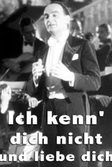ıch Kenn' Dich Nicht Und Liebe Dich (1934) afişi