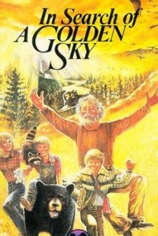 In Search Of A Golden Sky (1984) afişi