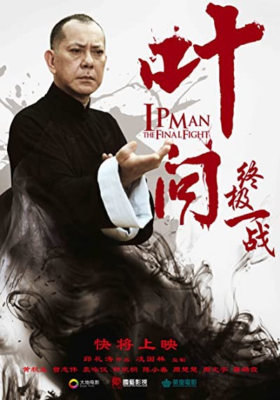 Ip Man: The Final Fight (2013) afişi Ip Man: The Final Fight (2013) afişi