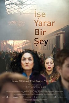 İşe Yarar Bir Şey (2017) afişi