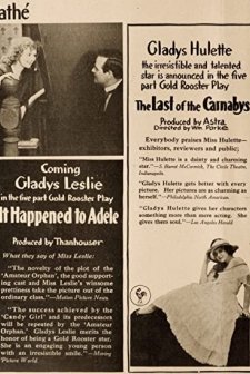 ıt Happened To Adele (1917) afişi