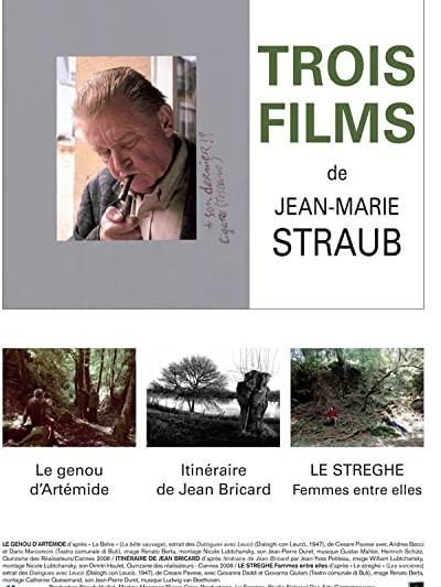 ıtinéraire De Jean Bricard (2008) afişi ıtinéraire De Jean Bricard (2008) afişi