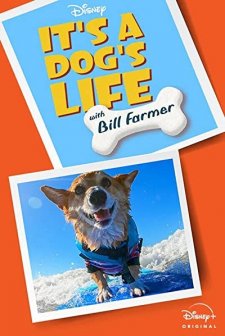 It’s a Dog’s Life (2020) afişi