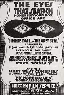 Jimmy Dale Alias The Grey Seal (1917) afişi