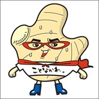 Kotonakare Hero Gingerman