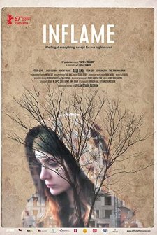 Kaygı (2017) afişi