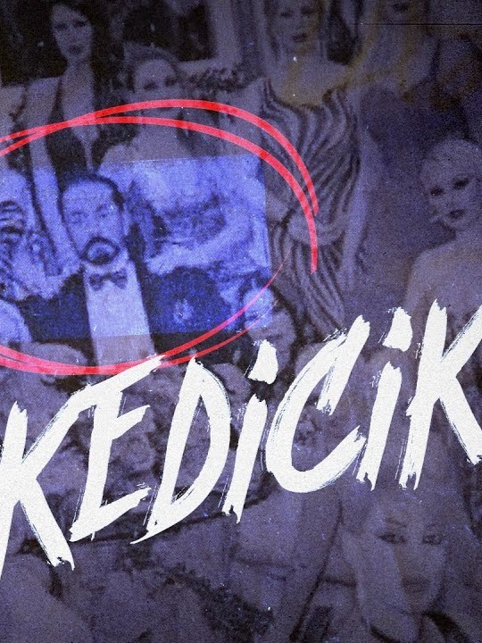 Kedicik (2023) afişi Kedicik (2023) afişi