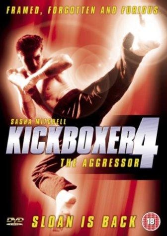 Kickboxer 4 (1994) afişi Kickboxer 4 (1994) afişi