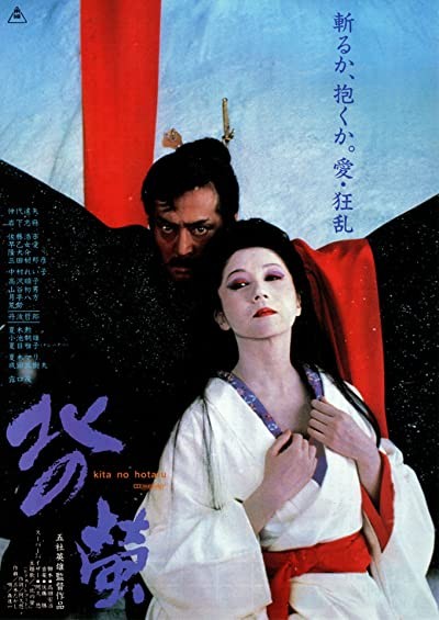 Kita No Hotaru (1984) afişi Kita No Hotaru (1984) afişi
