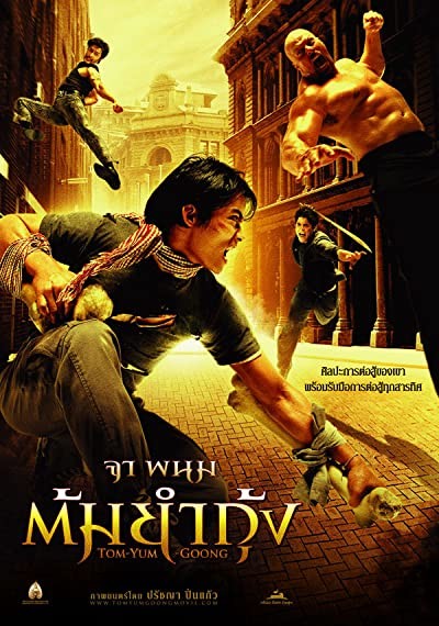 Koruyucu (2005) afişi Koruyucu (2005) afişi
