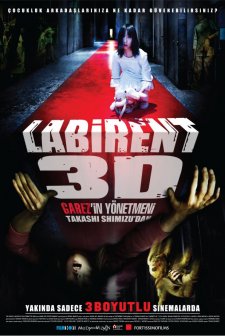 Labirent 3D (2009) afişi