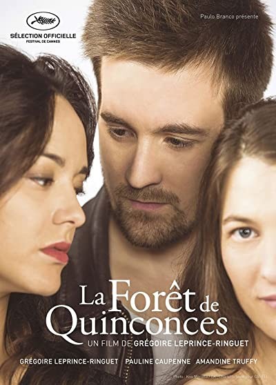 La Forêt De Quinconces (2016) afişi La Forêt De Quinconces (2016) afişi