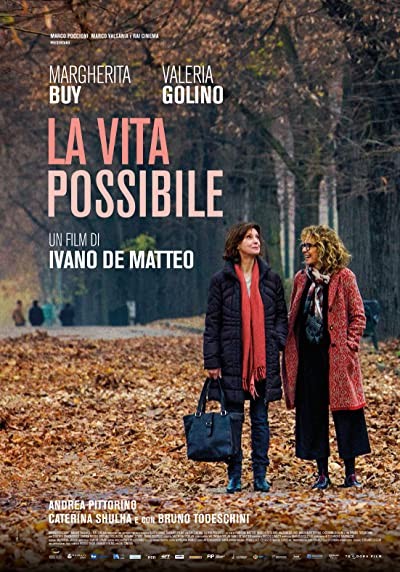 La vita possibile (2016) afişi La vita possibile (2016) afişi