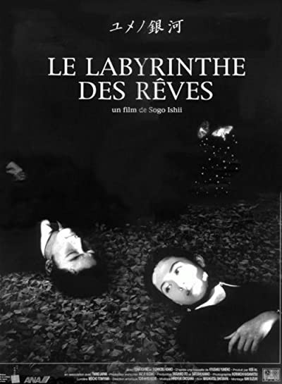Labyrinth Of Dreams (1997) afişi Labyrinth Of Dreams (1997) afişi