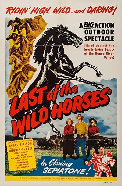Last Of The Wild Horses (1948) afişi