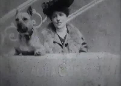 Laura Comstock's Bag-punching Dog (1901) afişi Laura Comstock's Bag-punching Dog (1901) afişi