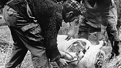 Le Cochon (1970) afişi Le Cochon (1970) afişi