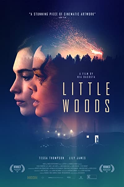 Little Woods (2018) afişi Little Woods (2018) afişi