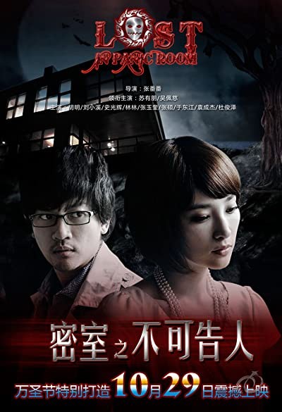 Lost In Panic Room (2010) afişi Lost In Panic Room (2010) afişi