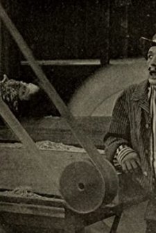 Luke Foils the Villain (1916) afişi
