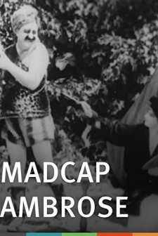 Madcap Ambrose (1916) afişi