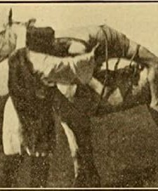 Mazeppa, Or The Wild Horse Of Tartary