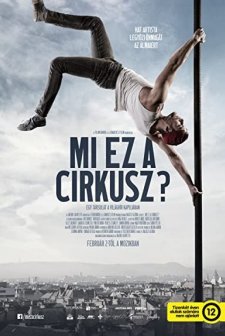 Mi ez a cirkusz? (2017) afişi