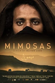 Mimozalar (2016) afişi