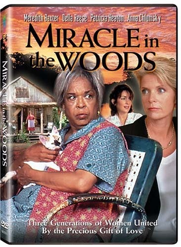 Miracle in the Woods (1997) afişi Miracle in the Woods (1997) afişi