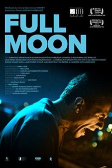 Moonlit Winter (2019) afişi