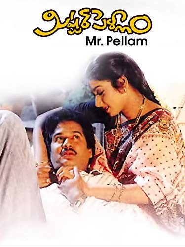 Mr. Pellam (1993) afişi Mr. Pellam (1993) afişi
