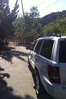 Nefarious Nellie (2012) afişi