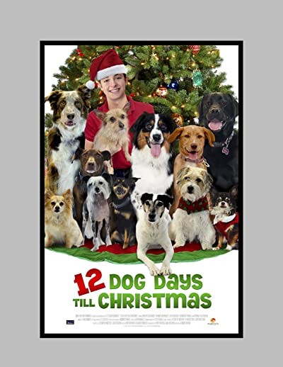 Noel'in 12 Köpeği (2014) afişi Noel'in 12 Köpeği (2014) afişi