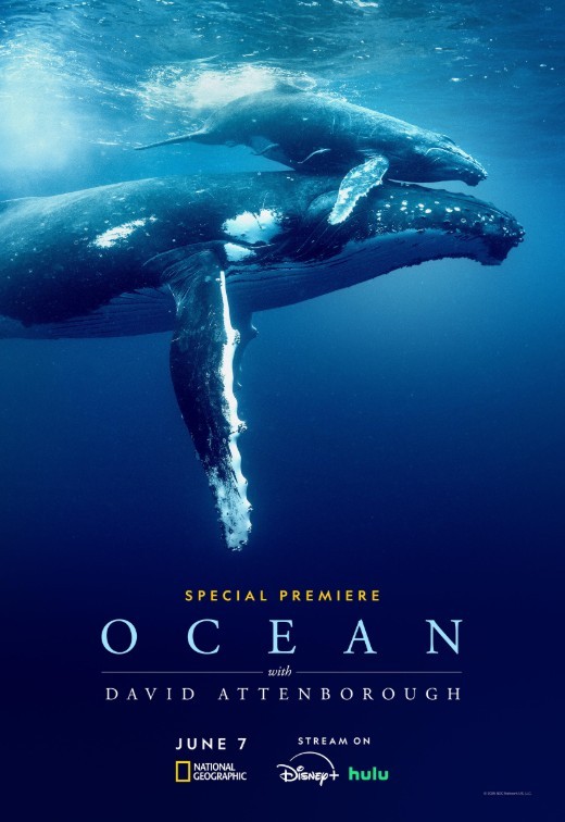 Ocean with David Attenborough (2025) afişi Ocean with David Attenborough (2025) afişi