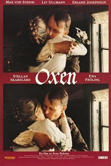 Oxen