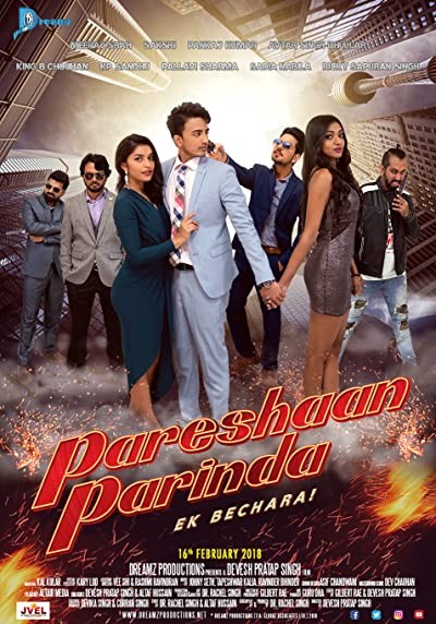 Pareshaan Parinda (2018) afişi Pareshaan Parinda (2018) afişi