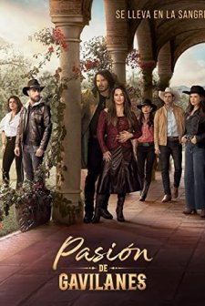 Pasión de Gavilanes Sezon 1 (2003) afişi
