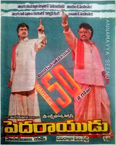 Peda Rayudu (1995) afişi