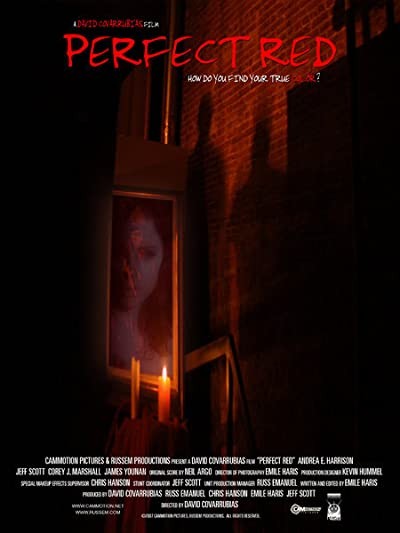 Perfect Red (2007) afişi Perfect Red (2007) afişi