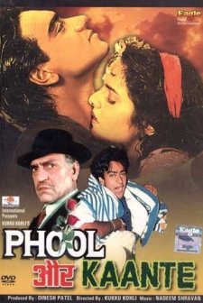 Phool Aur Kaante (1991) afişi