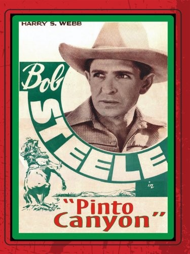 Pinto Canyon (1940) afişi Pinto Canyon (1940) afişi