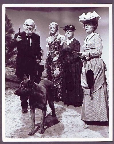 Pistols 'n' Petticoats (1966) afişi Pistols 'n' Petticoats (1966) afişi