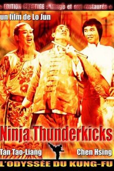 Revenge Of A Shaolin Master (1979) afişi