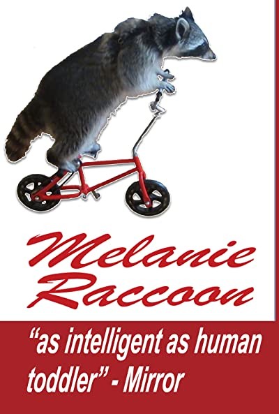Raccoon (2015) afişi Raccoon (2015) afişi