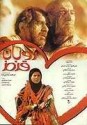 Rooban-e Ghermez (1999) afişi Rooban-e Ghermez (1999) afişi
