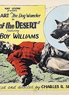 Rose of the Desert (1925) afişi