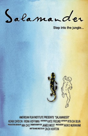 Salamander (2005) afişi Salamander (2005) afişi