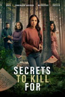 Secrets to Kill For (2025) afişi
